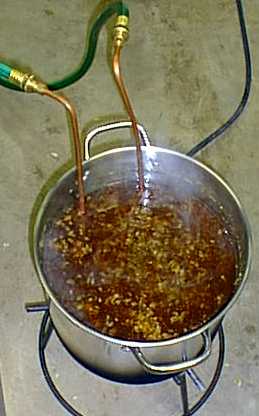 chil2.jpg (15930 bytes)