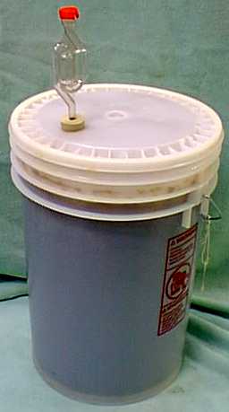 ferment2.jpg (10466 bytes)