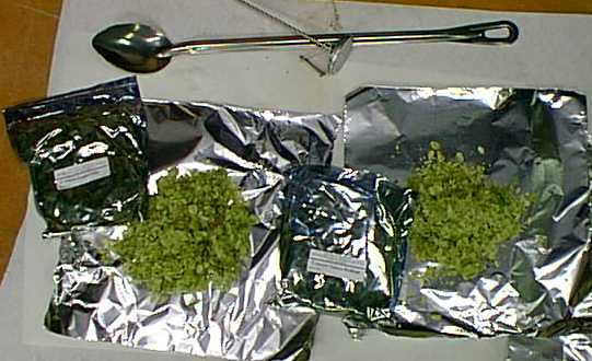 hops1.jpg (32119 bytes)