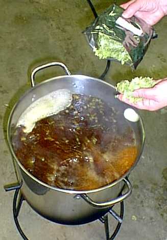 hops2.jpg (21248 bytes)