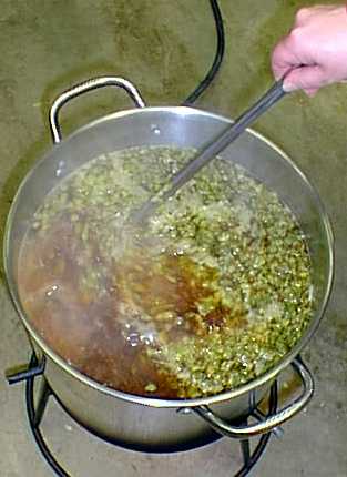 hops3.jpg (18819 bytes)