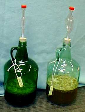 starter.jpg (12344 bytes)