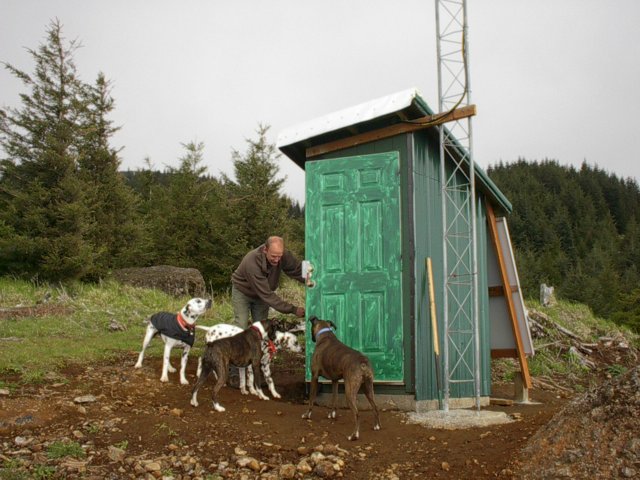 Inspection by the dogs.