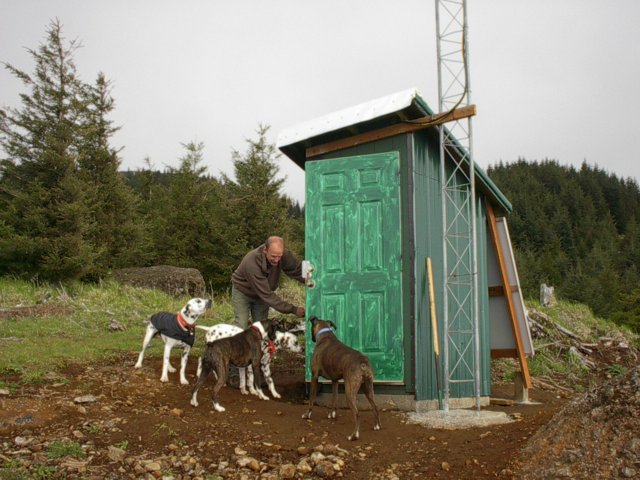 Inspection by the dogs.