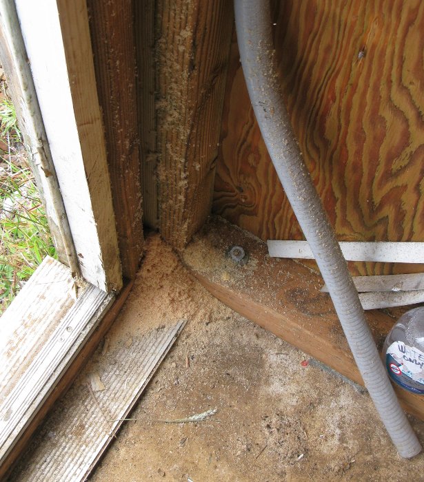 sawdust near door