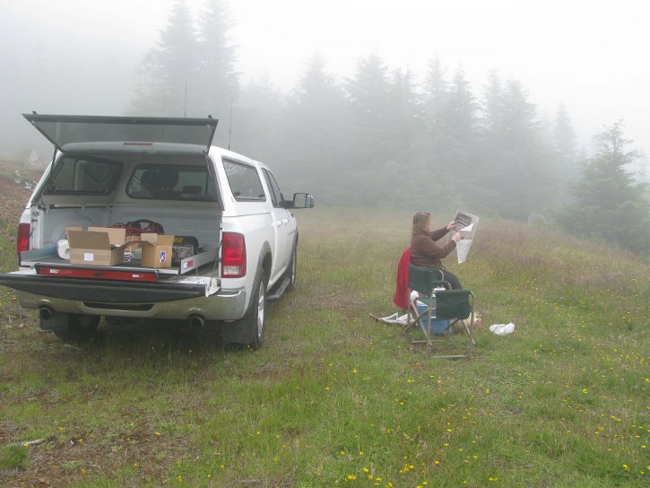 foggy